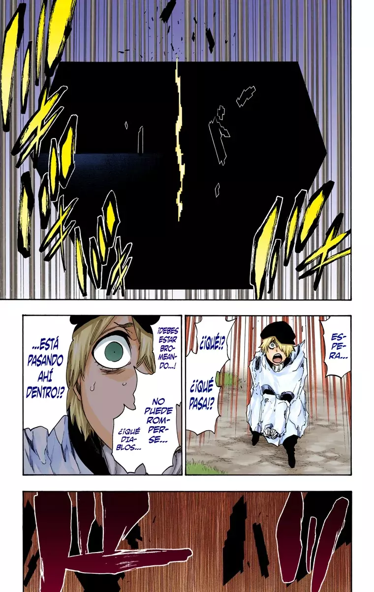 Read Bleach Full Color ES Manga Online
