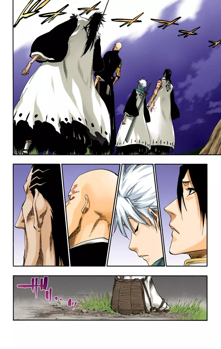 Read Bleach Full Color ES Manga Online