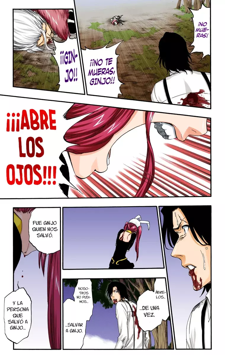 Read Bleach Full Color ES Manga Online