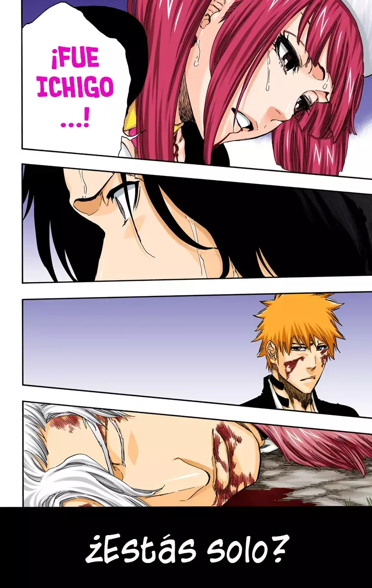 Read Bleach Full Color ES Manga Online