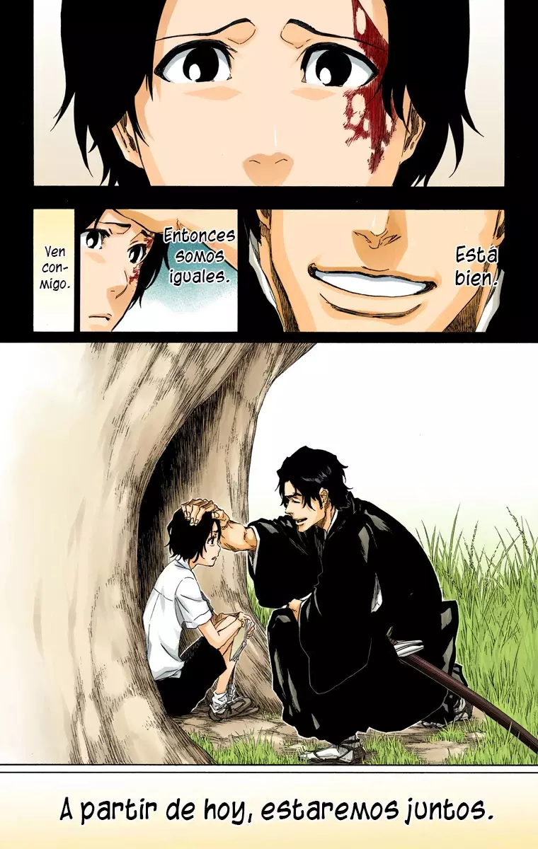 Read Bleach Full Color ES Manga Online