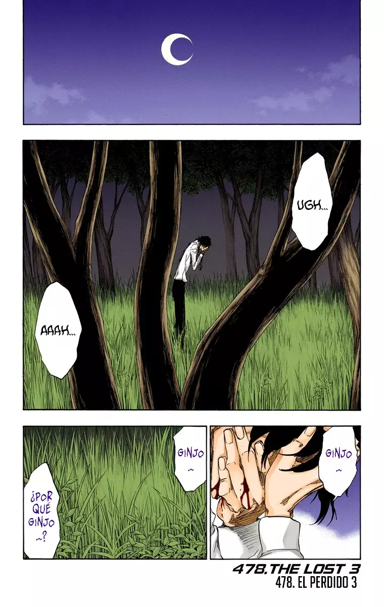 Read Bleach Full Color ES Manga Online