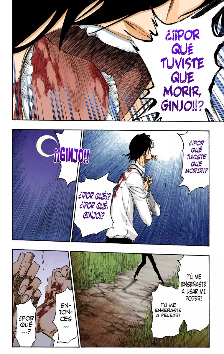 Read Bleach Full Color ES Manga Online