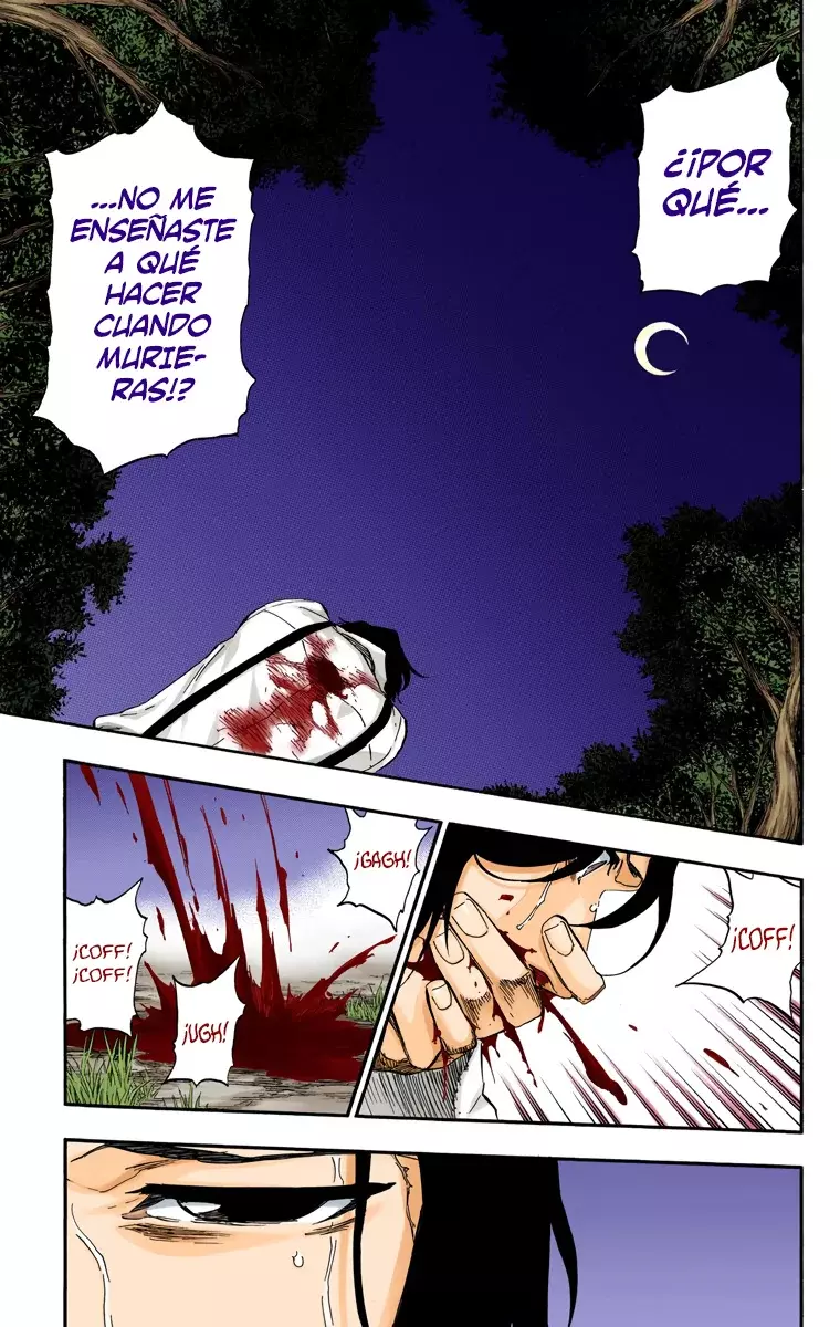 Read Bleach Full Color ES Manga Online