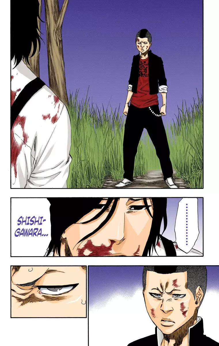 Read Bleach Full Color ES Manga Online
