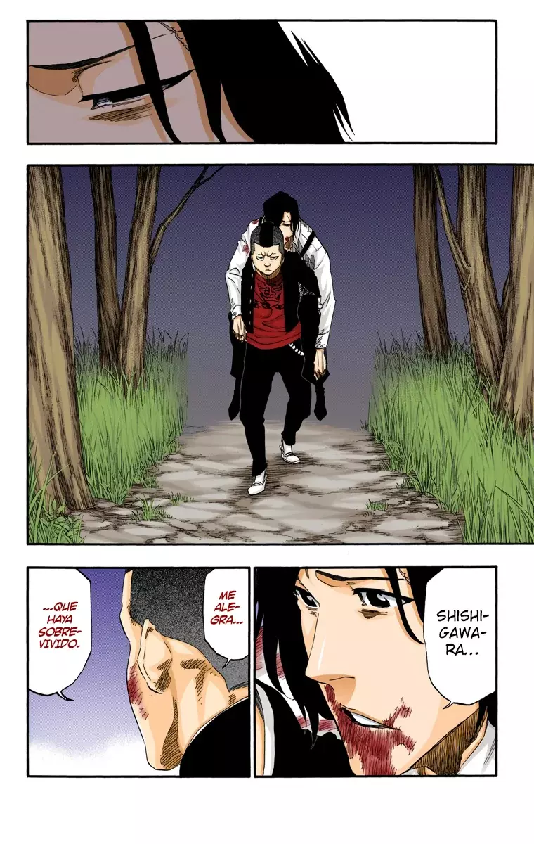 Read Bleach Full Color ES Manga Online