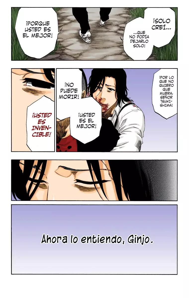 Read Bleach Full Color ES Manga Online