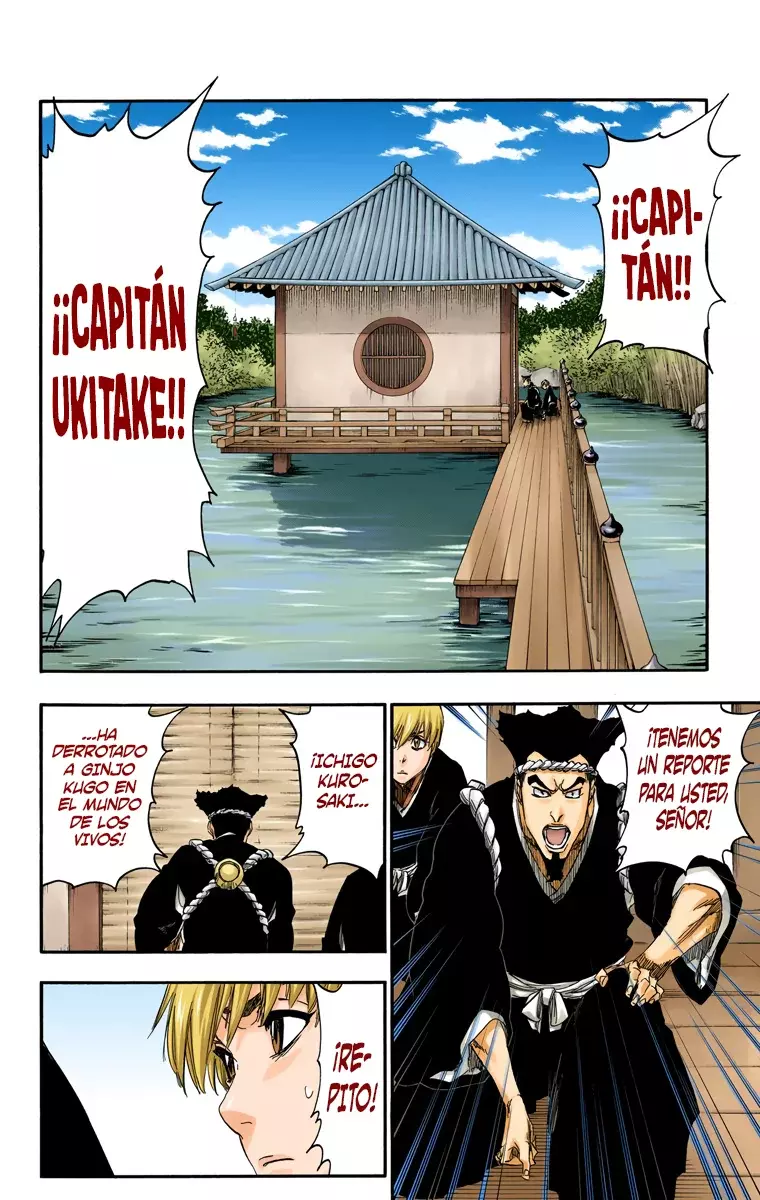 Read Bleach Full Color ES Manga Online