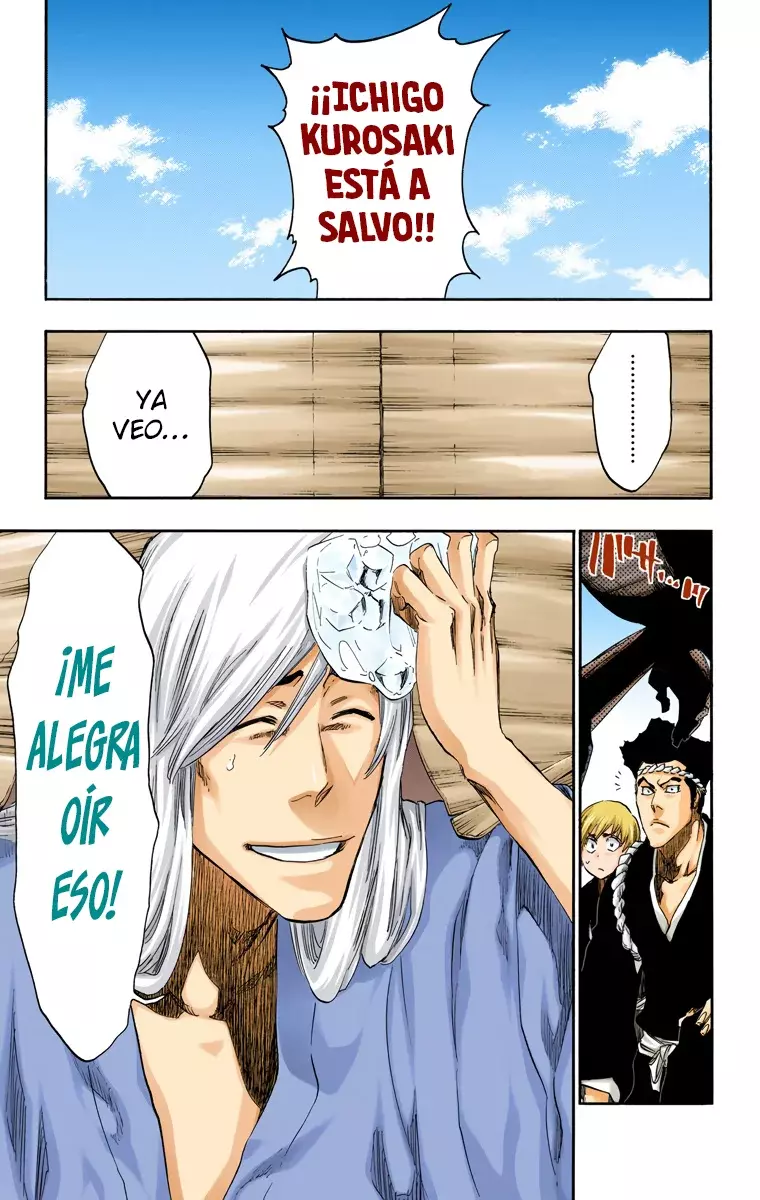 Read Bleach Full Color ES Manga Online