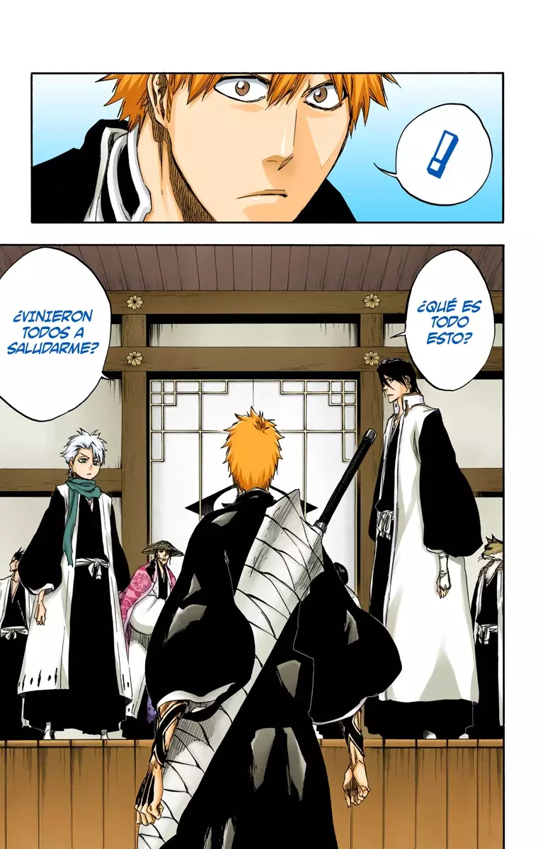 Read Bleach Full Color ES Manga Online