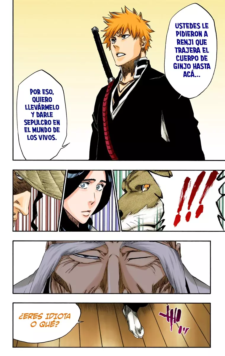 Read Bleach Full Color ES Manga Online
