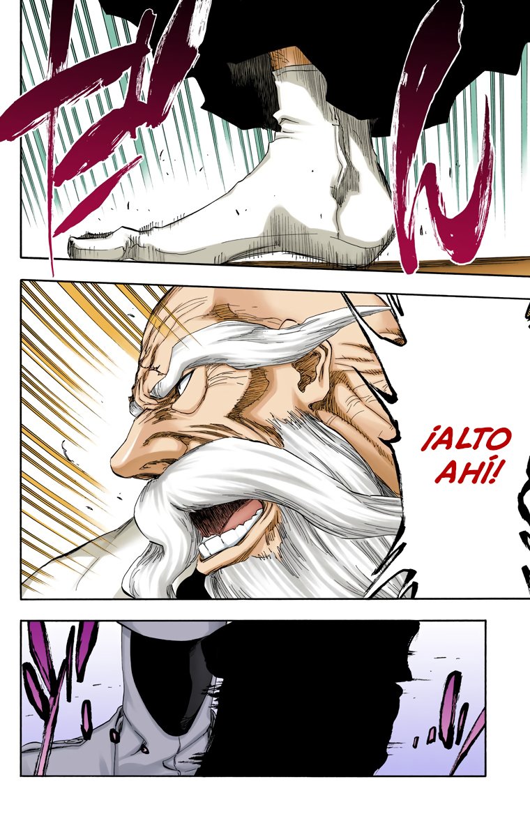 Read Bleach Full Color ES Manga Online