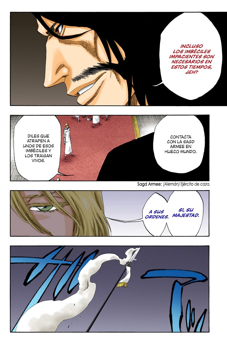 Read Bleach Full Color ES Manga Online