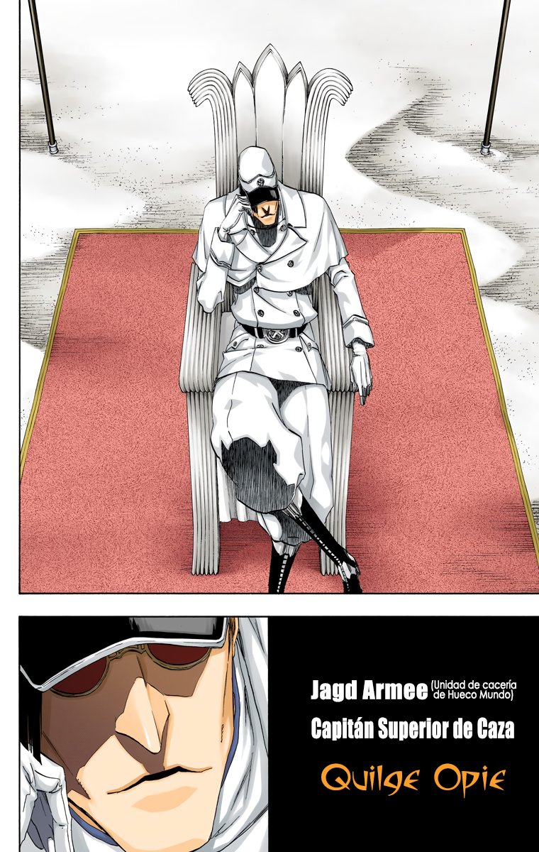 Read Bleach Full Color ES Manga Online