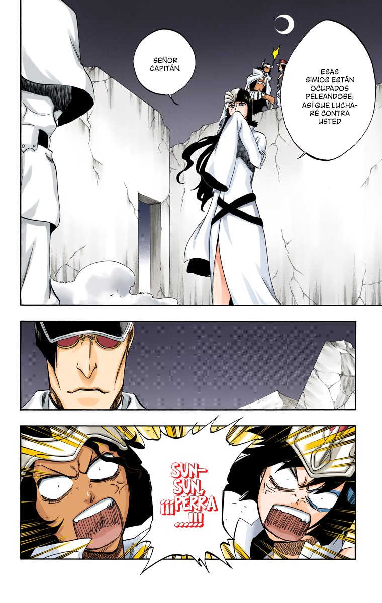 Read Bleach Full Color ES Manga Online