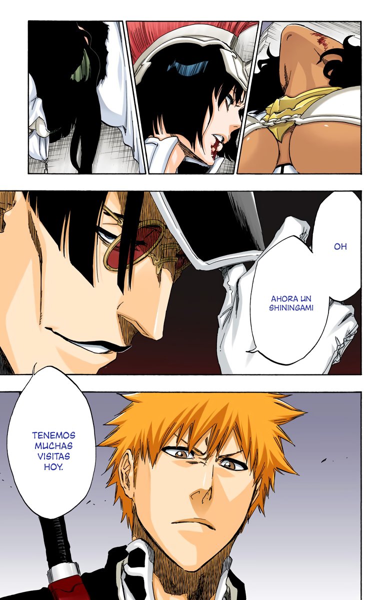 Read Bleach Full Color ES Manga Online