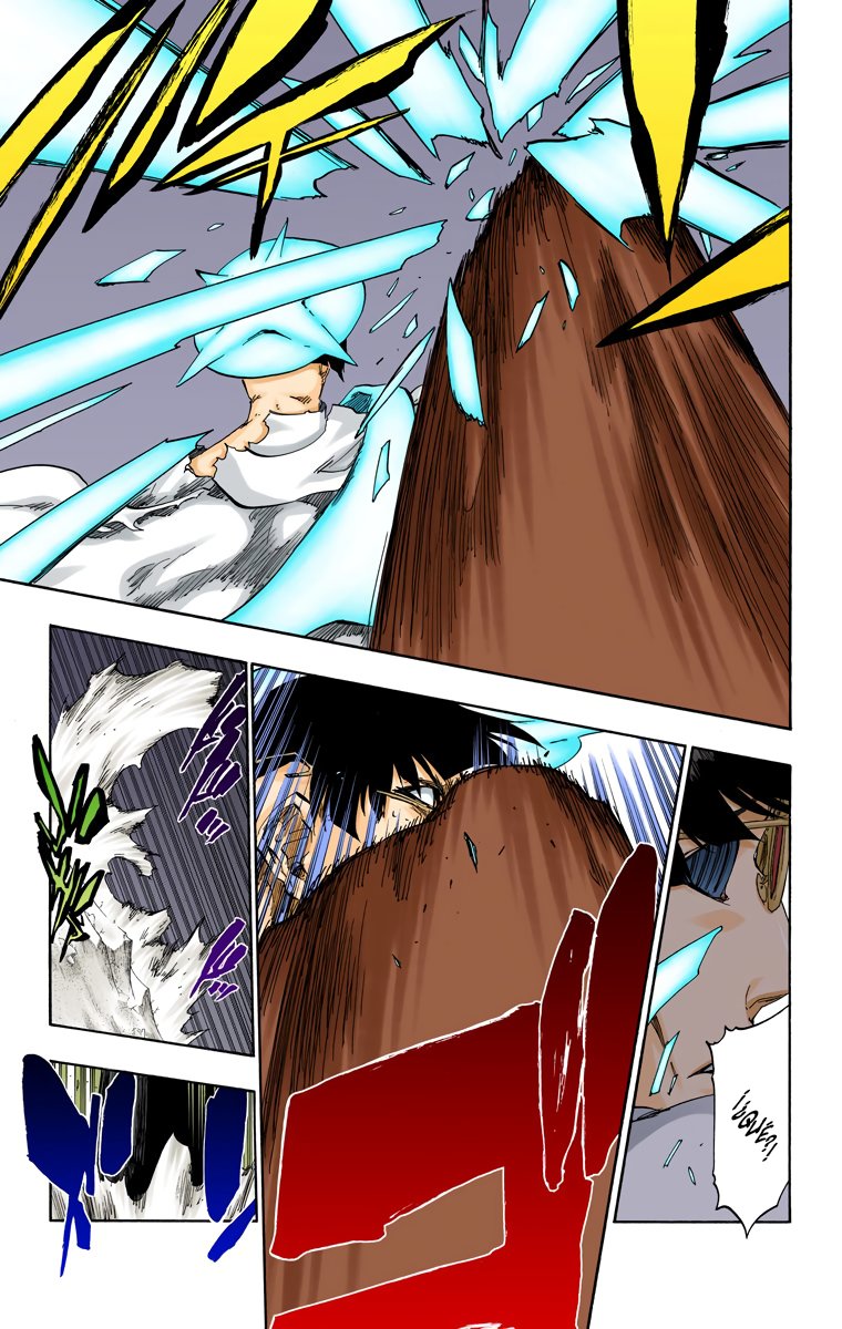 Read Bleach Full Color ES Manga Online