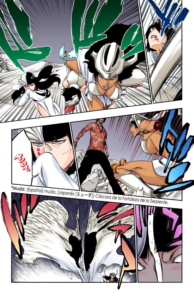 Read Bleach Full Color ES Manga Online