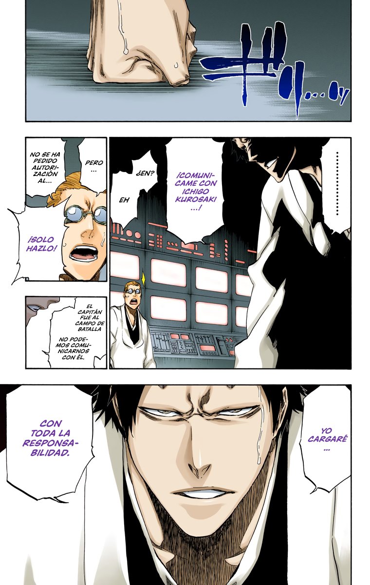 Read Bleach Full Color ES Manga Online
