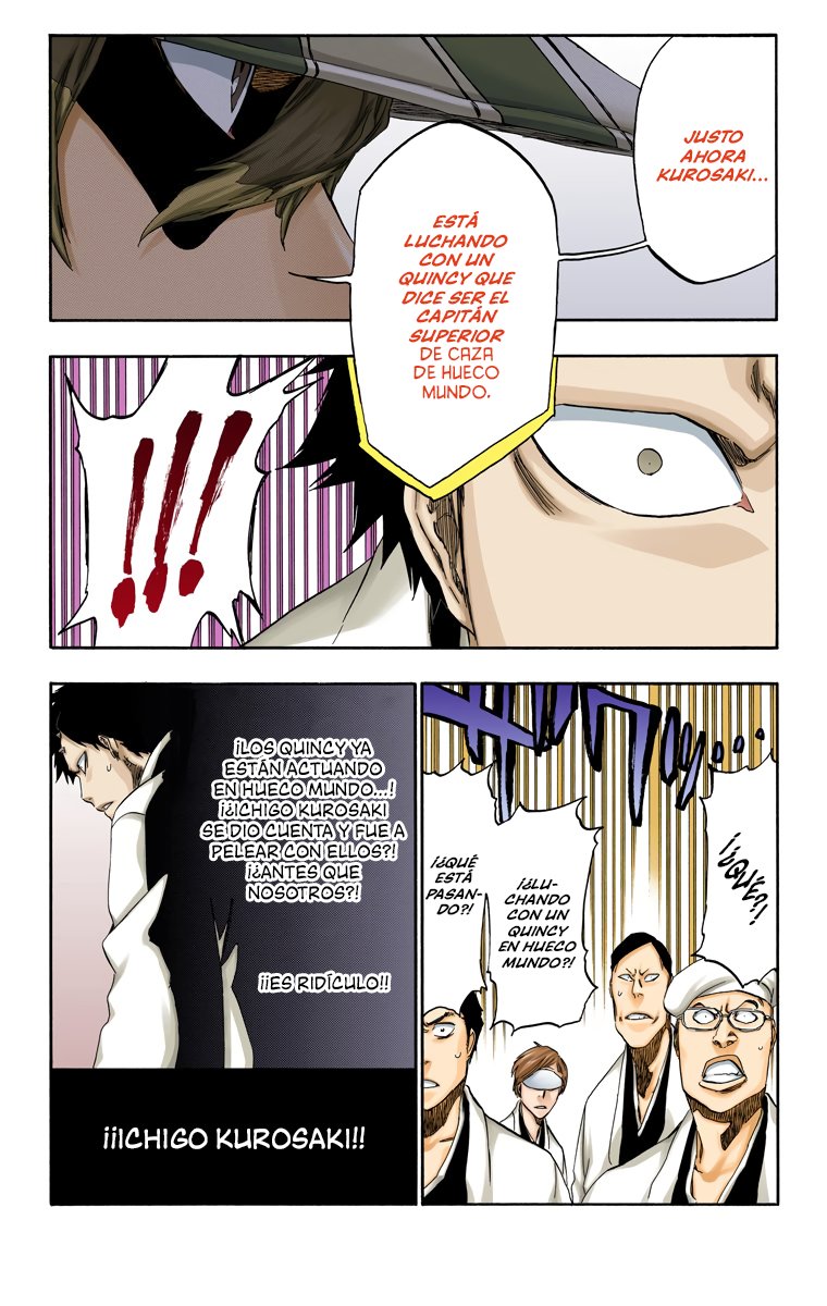 Read Bleach Full Color ES Manga Online