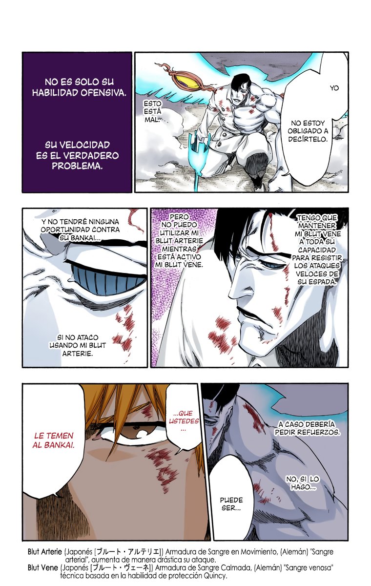 Read Bleach Full Color ES Manga Online
