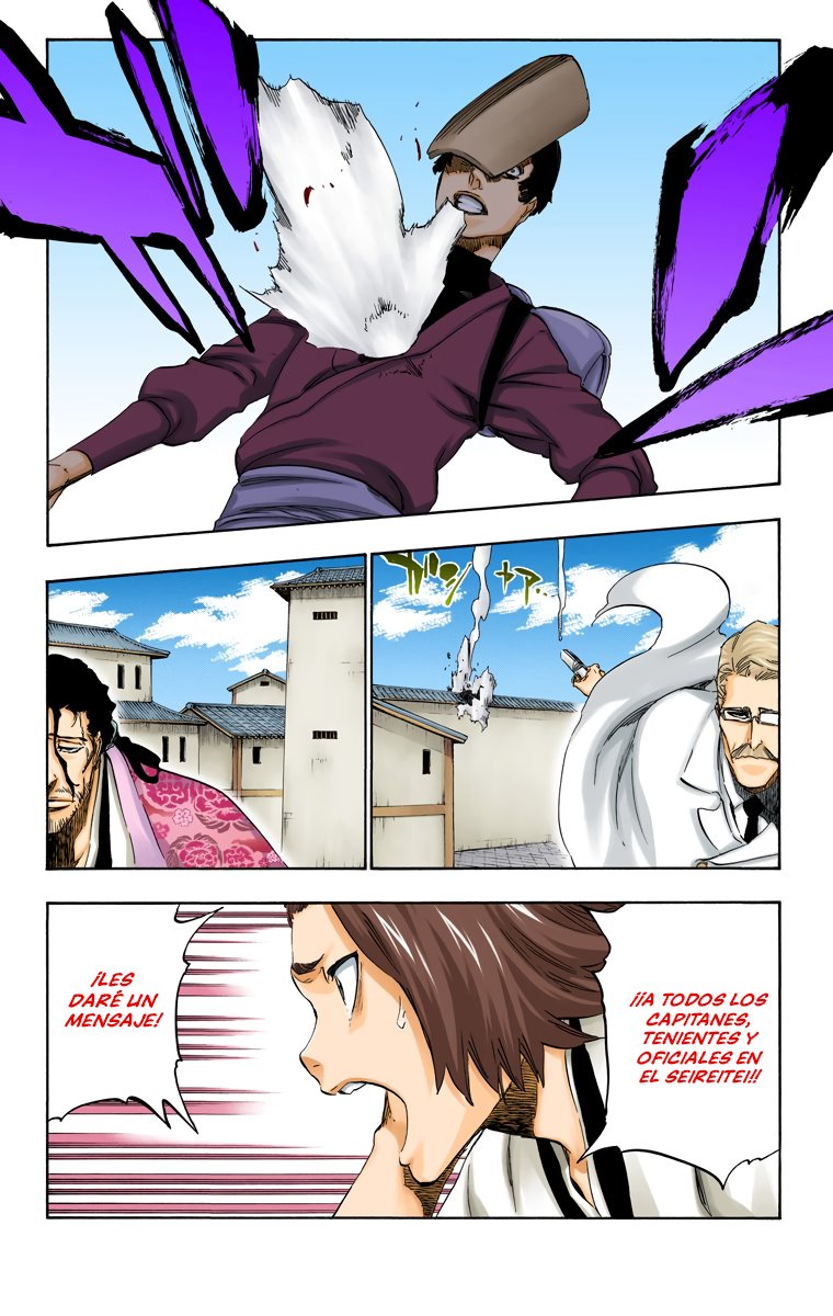 Read Bleach Full Color ES Manga Online