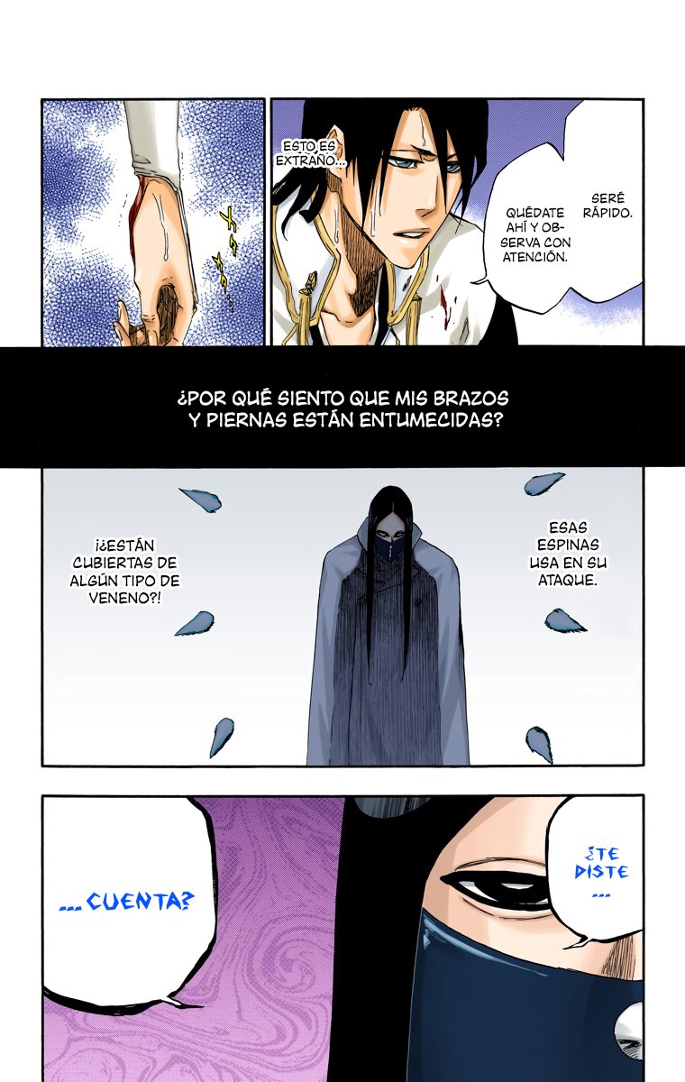 Read Bleach Full Color ES Manga Online