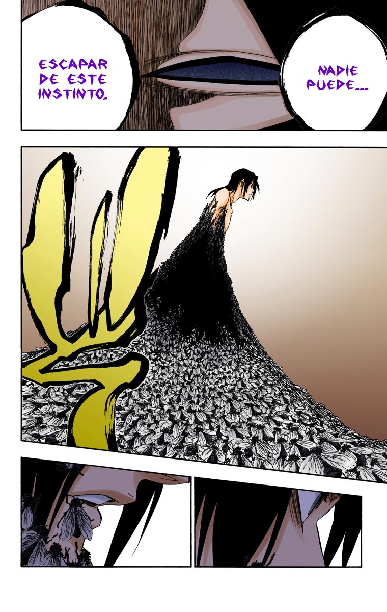 Read Bleach Full Color ES Manga Online