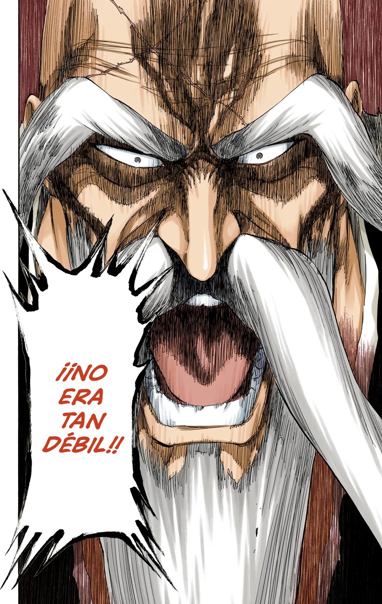 Read Bleach Full Color ES Manga Online