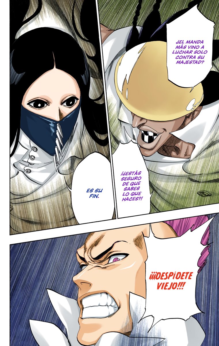Read Bleach Full Color ES Manga Online