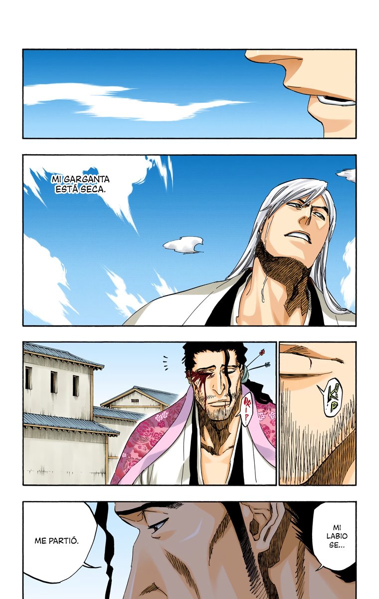 Read Bleach Full Color ES Manga Online