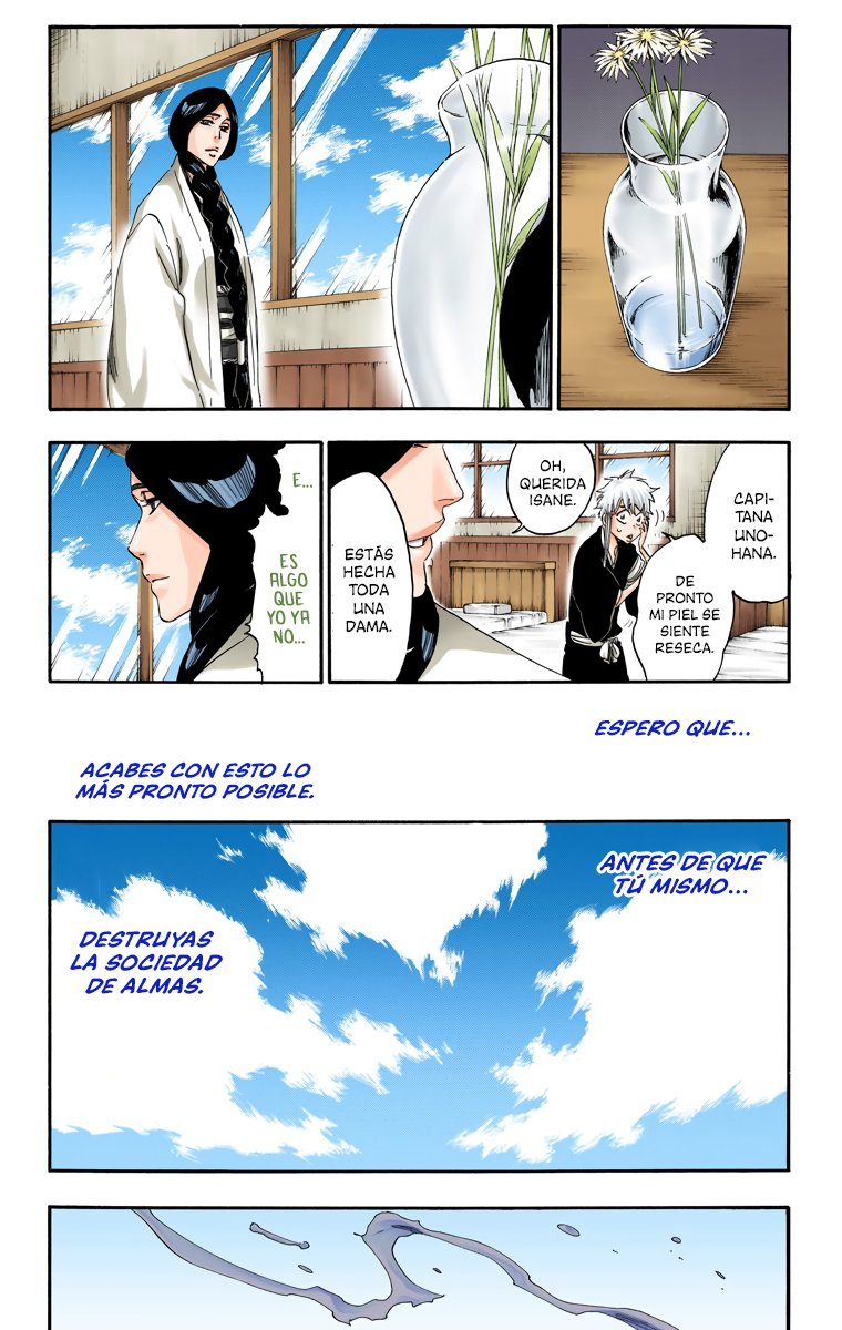 Read Bleach Full Color ES Manga Online