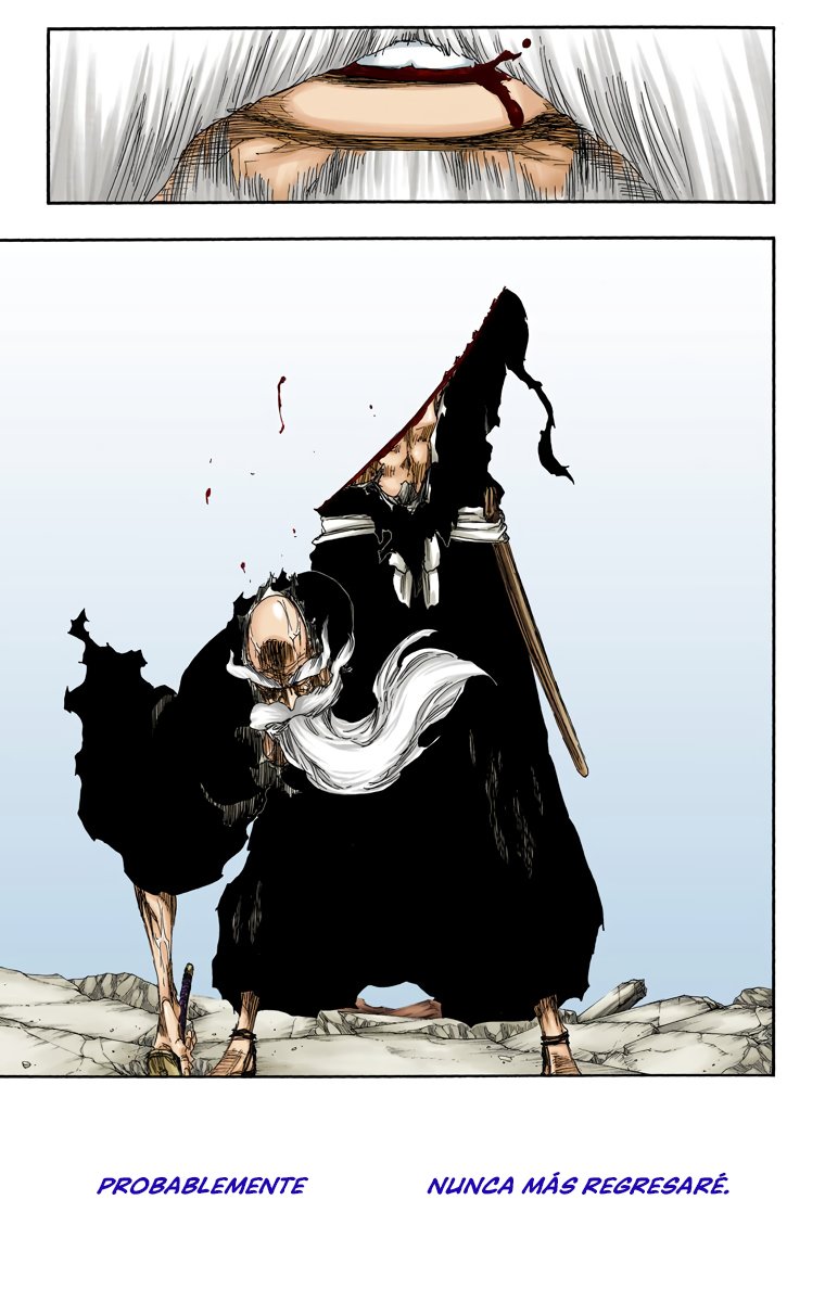 Read Bleach Full Color ES Manga Online