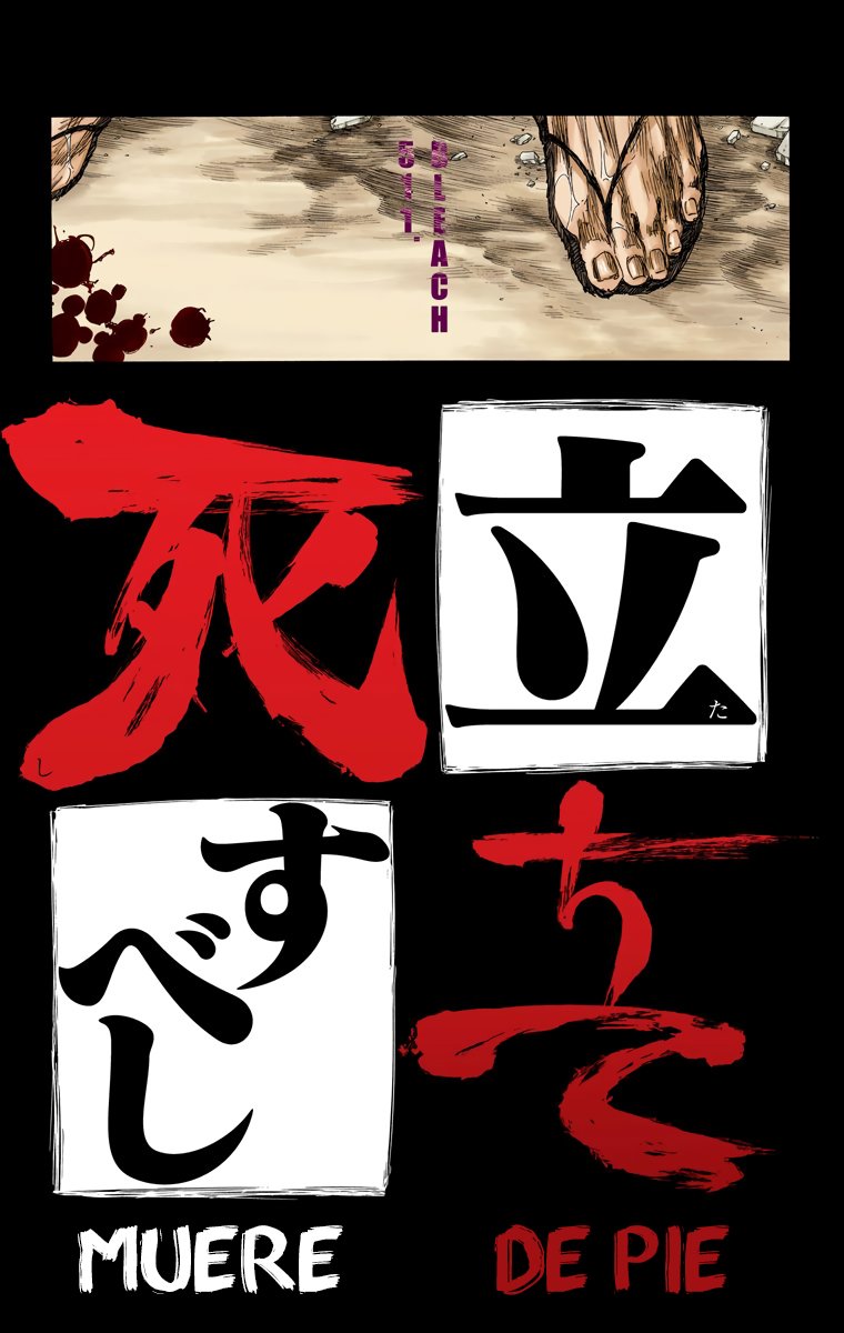 Read Bleach Full Color ES Manga Online
