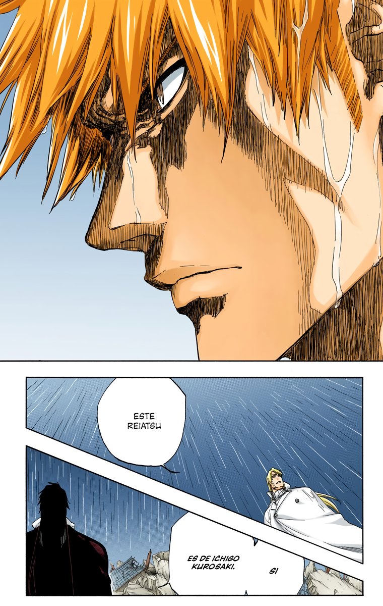 Read Bleach Full Color ES Manga Online