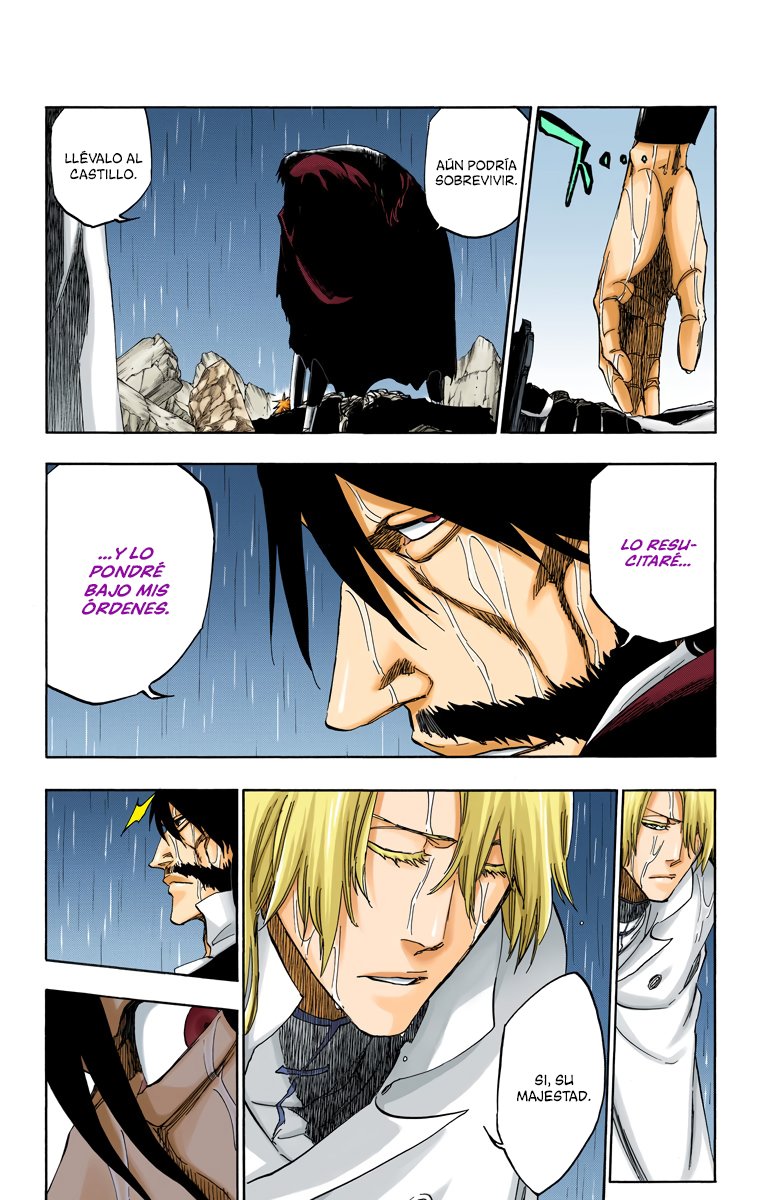 Read Bleach Full Color ES Manga Online