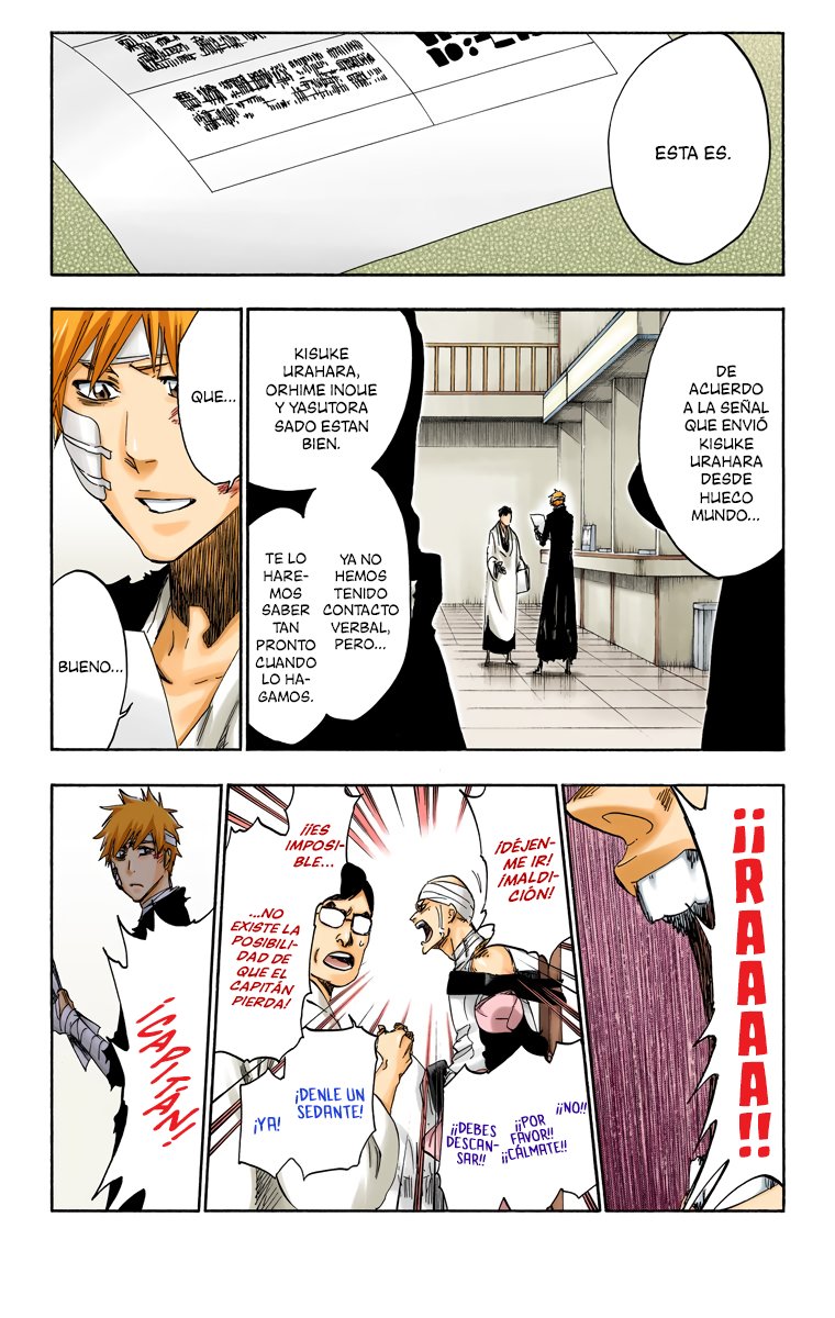 Read Bleach Full Color ES Manga Online