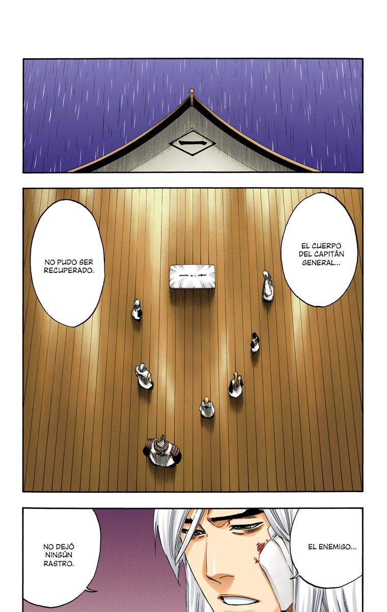 Read Bleach Full Color ES Manga Online