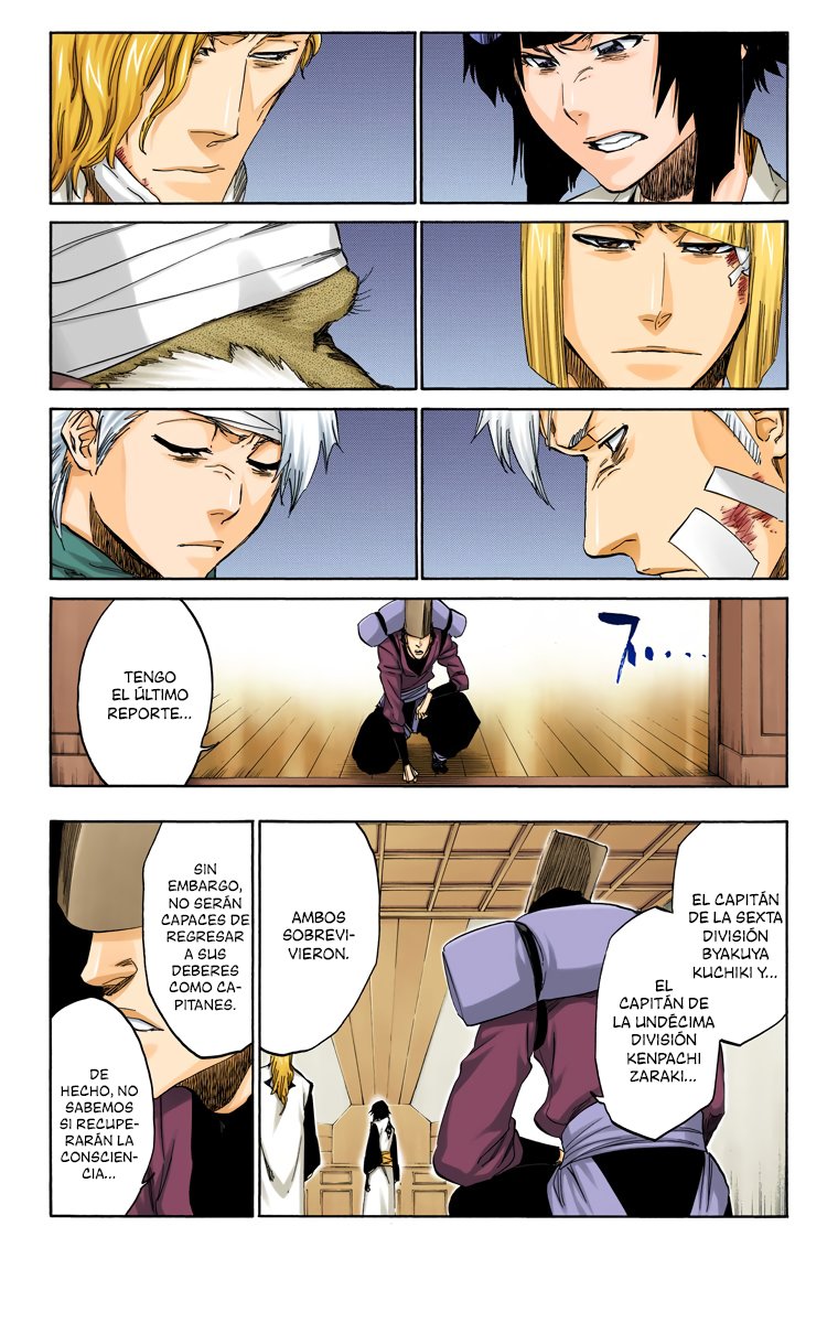 Read Bleach Full Color ES Manga Online