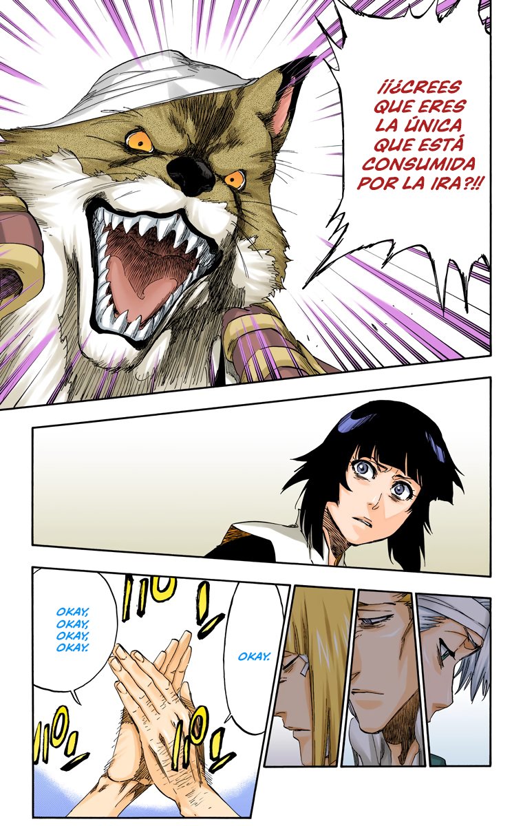 Read Bleach Full Color ES Manga Online