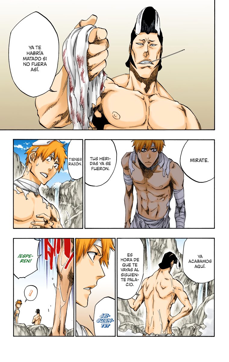 Read Bleach Full Color ES Manga Online