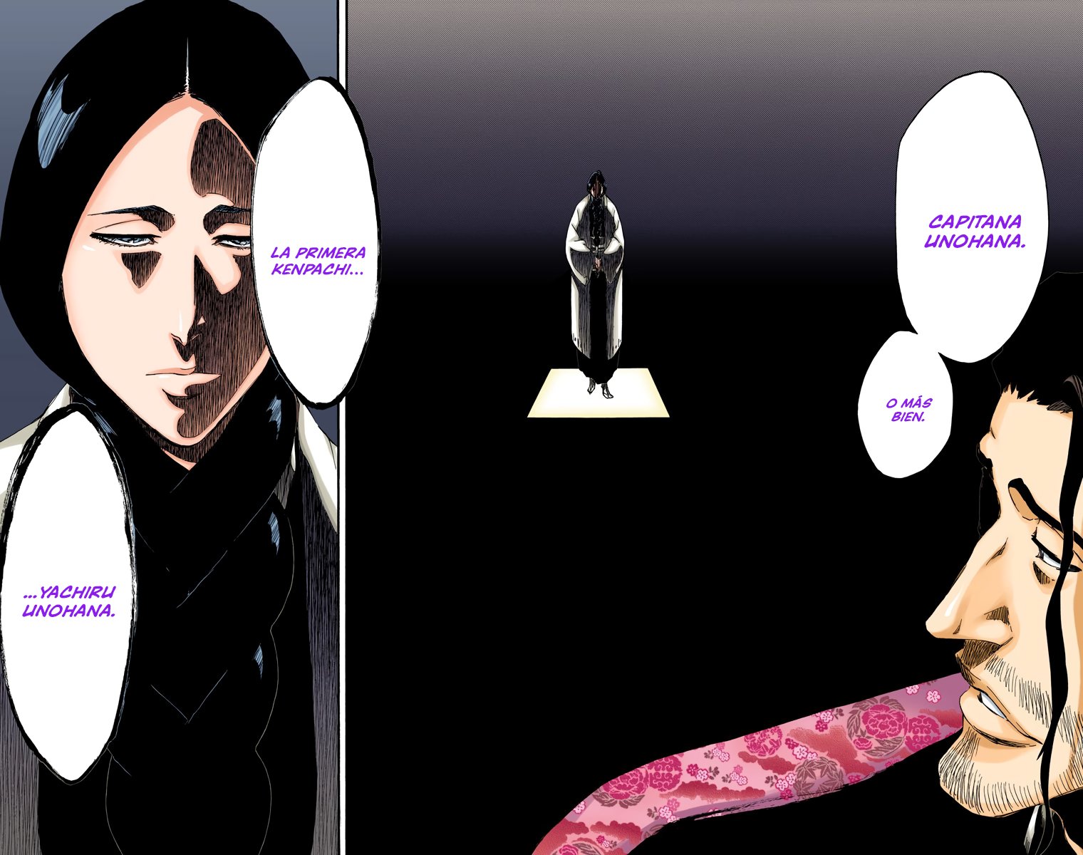 Read Bleach Full Color ES Manga Online