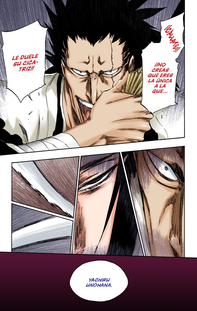 Read Bleach Full Color ES Manga Online