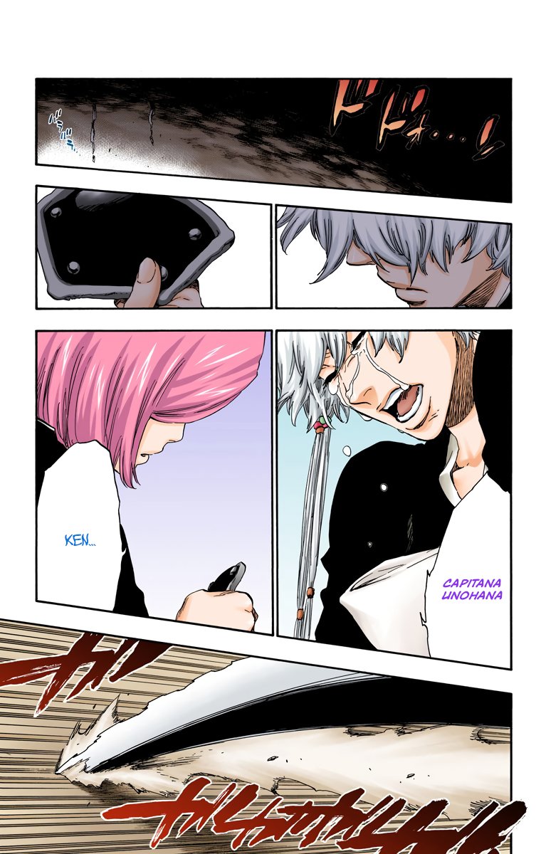 Read Bleach Full Color ES Manga Online