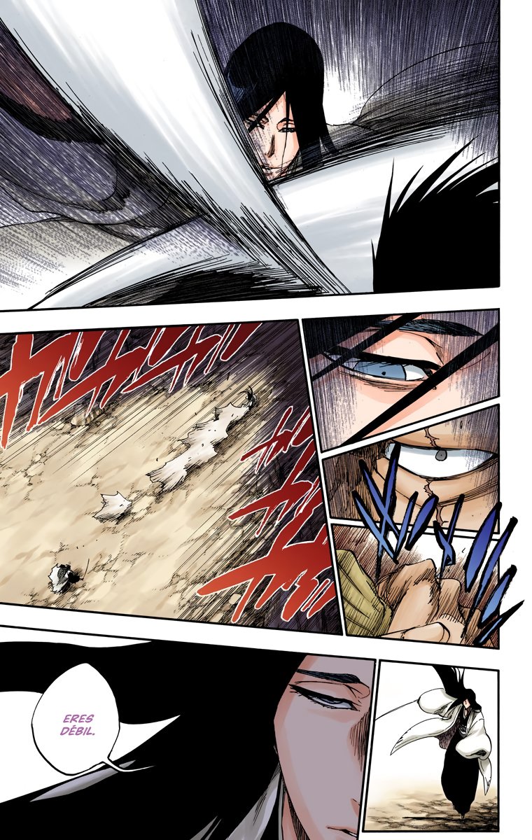 Read Bleach Full Color ES Manga Online
