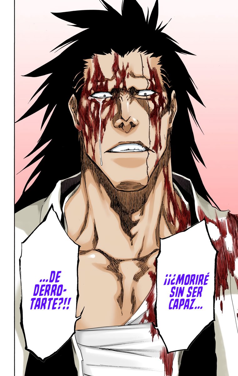 Read Bleach Full Color ES Manga Online