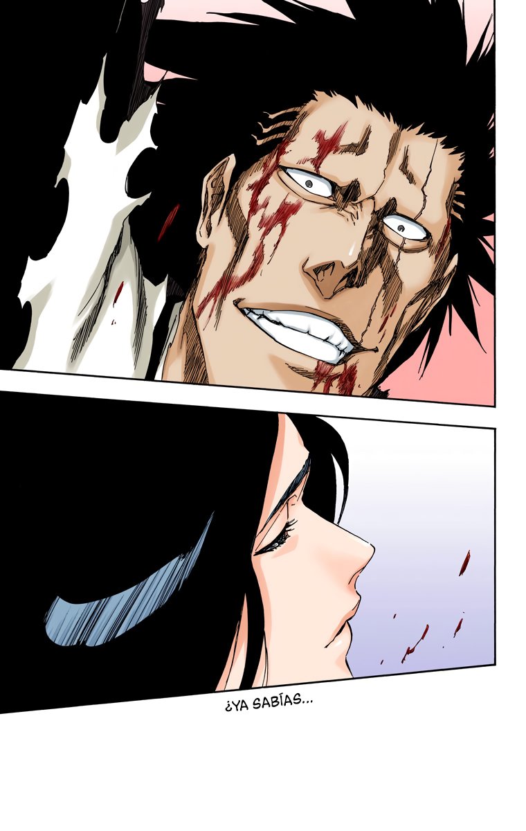 Read Bleach Full Color ES Manga Online