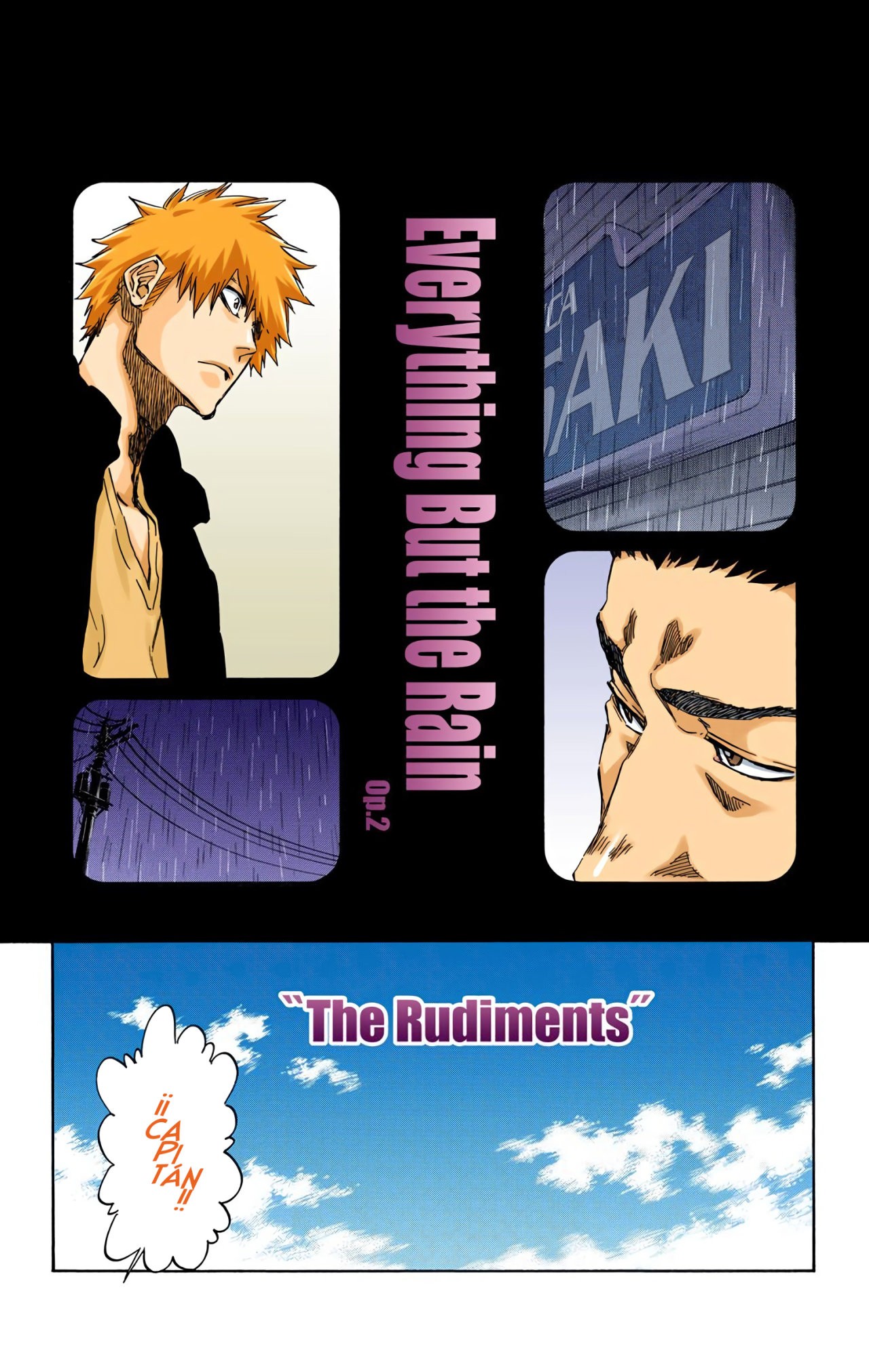 Read Bleach Full Color ES Manga Online