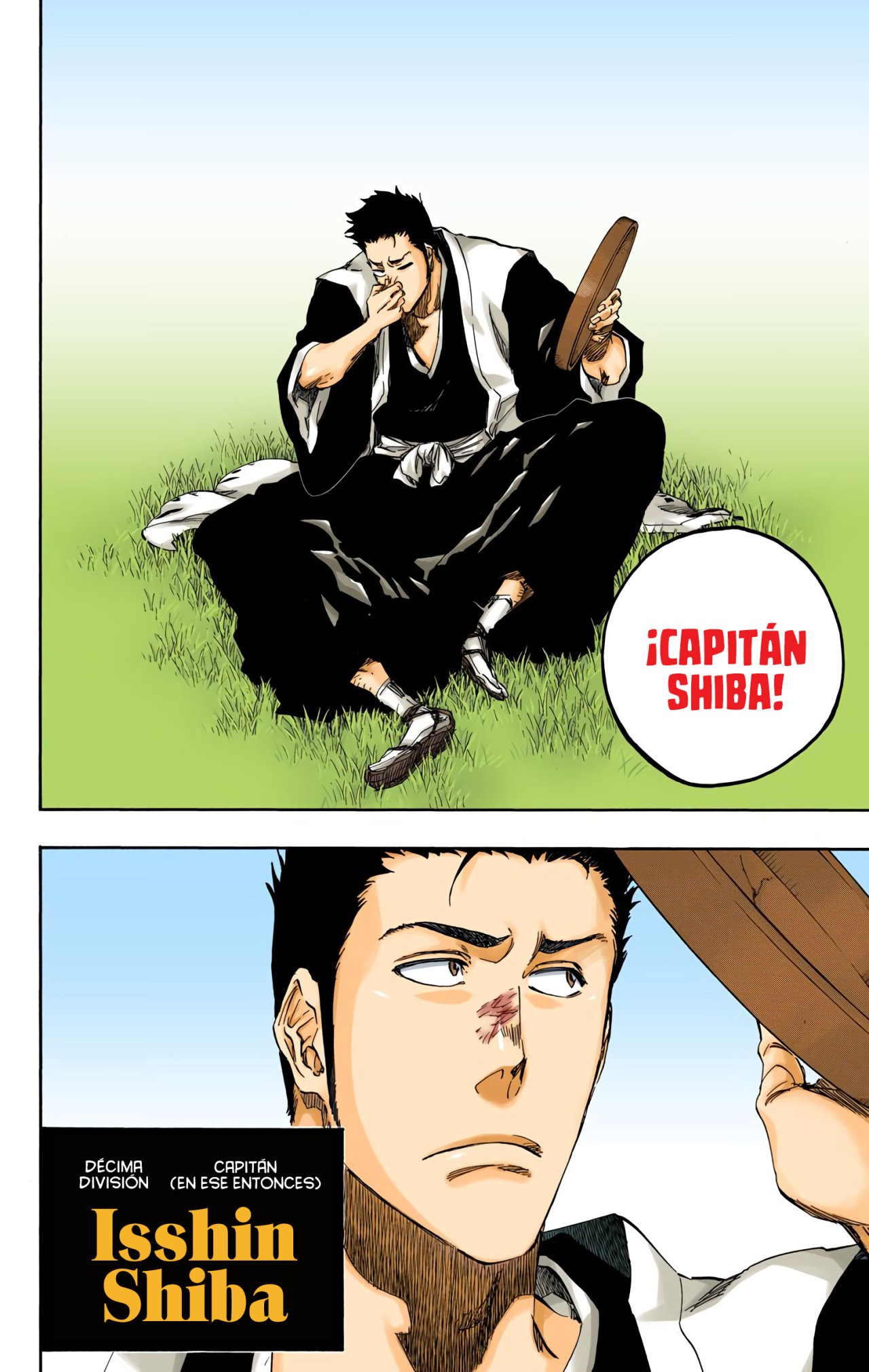 Read Bleach Full Color ES Manga Online