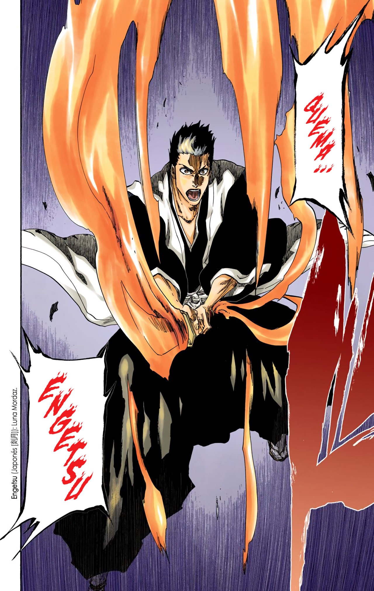 Read Bleach Full Color ES Manga Online